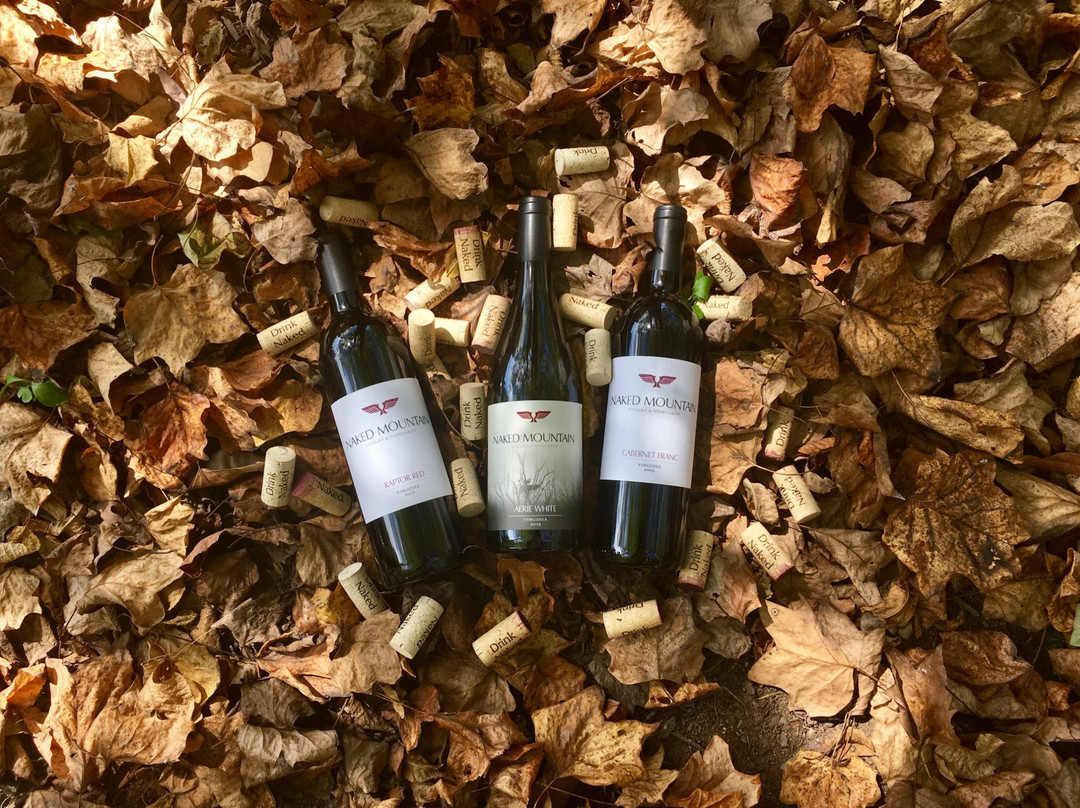 Naked Mountain Winery & Vineyards-Markham必去景点