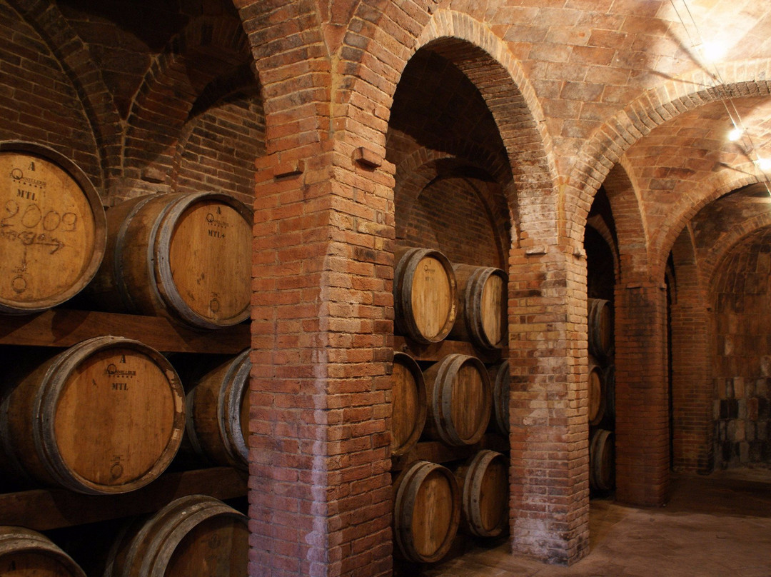 Cantina Fattoria Uccelliera景点图片