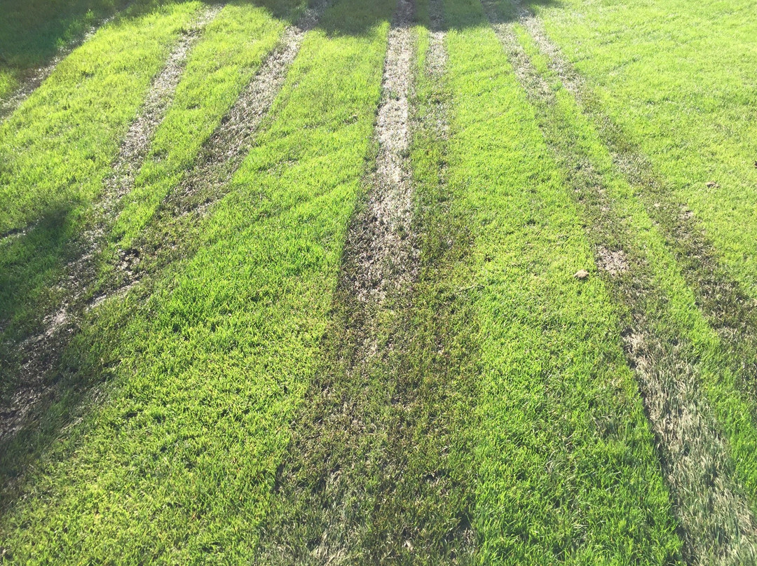Golfclub Brodauer Mühle景点图片