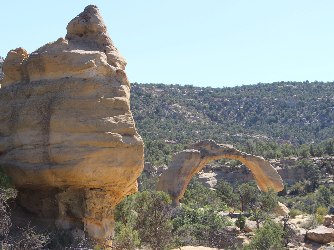 Aztec Sandstone Arches-Aztec必去景点
