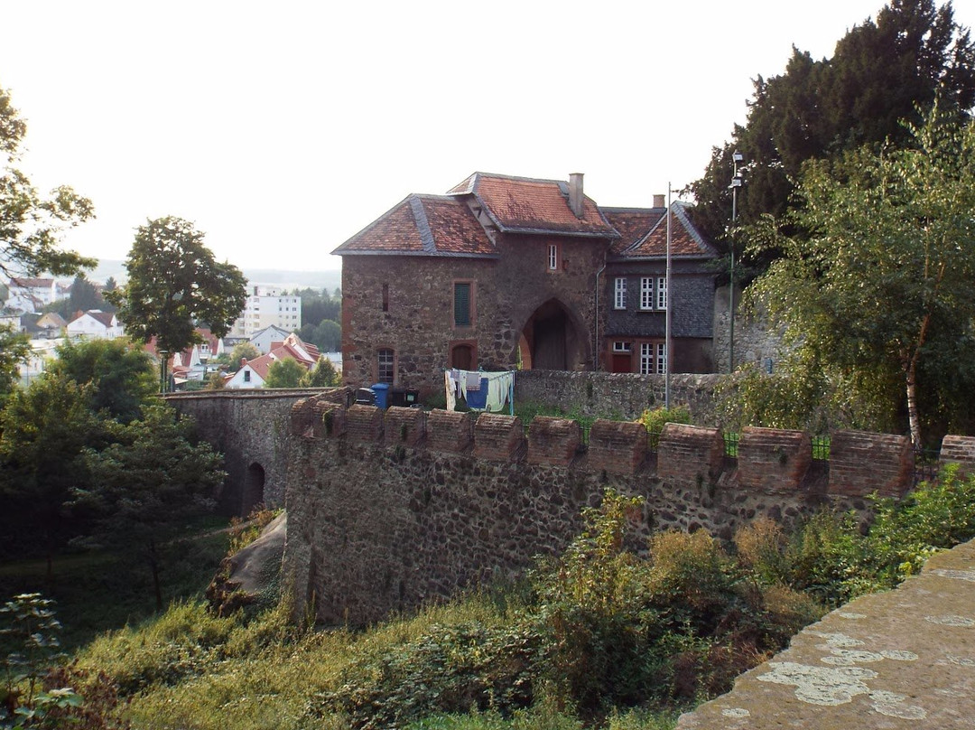 Friedberg旅游攻略图片