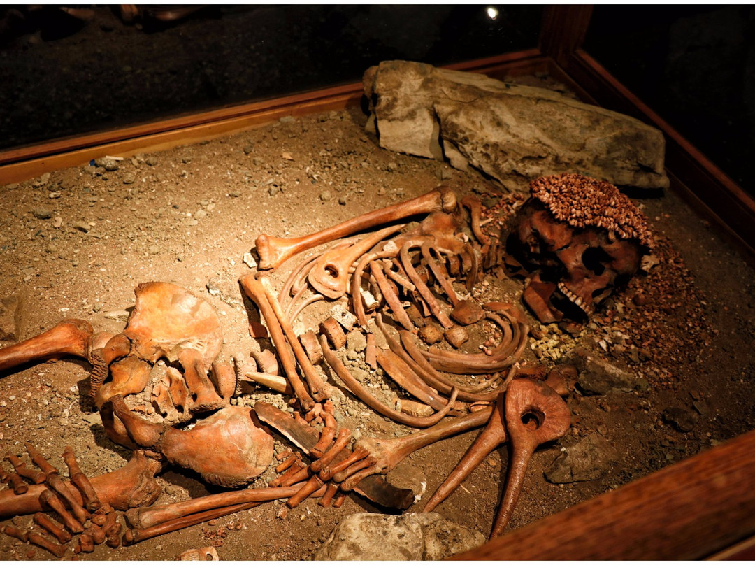 Museo di Archeologia-热那亚必去景点