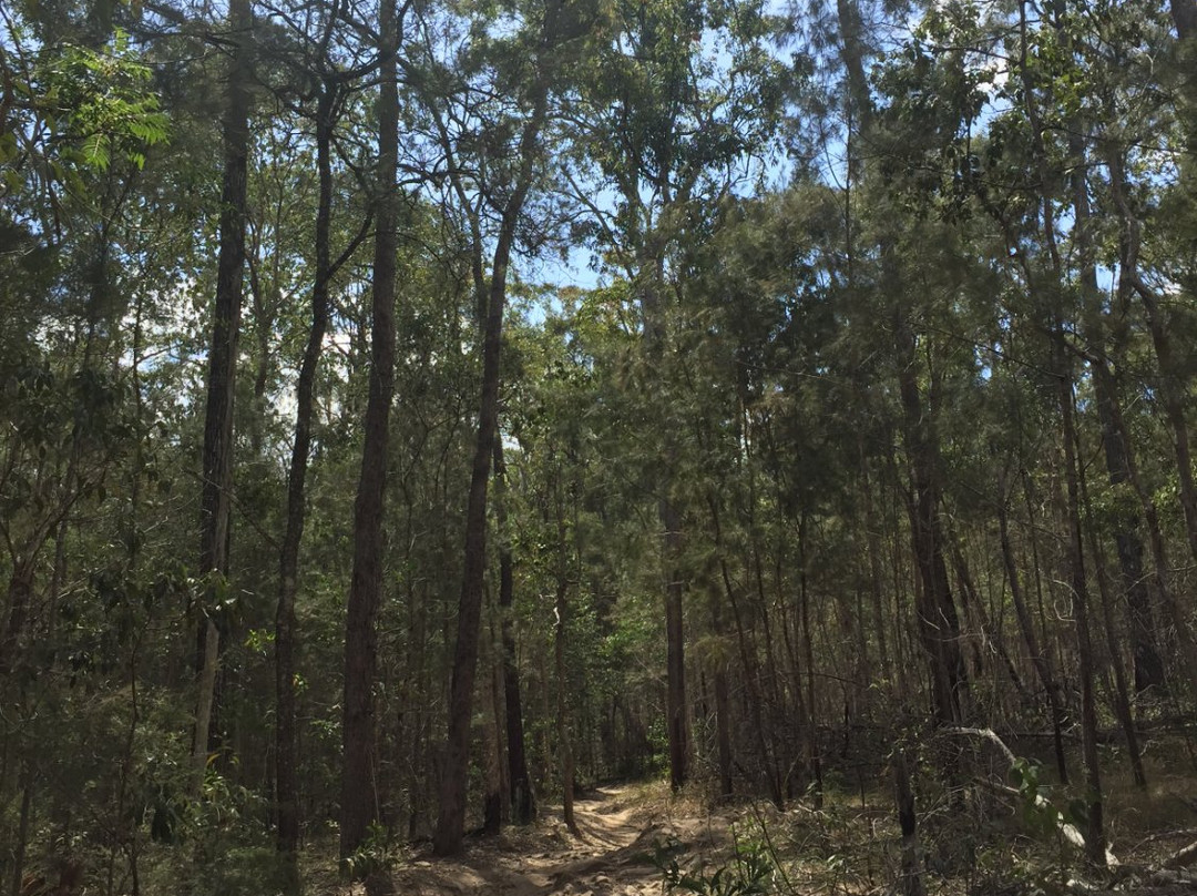 Nerang National Park-Nerang必去景点