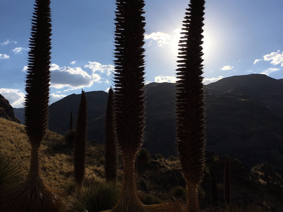 Willka Tours-Huancavelica必去景点