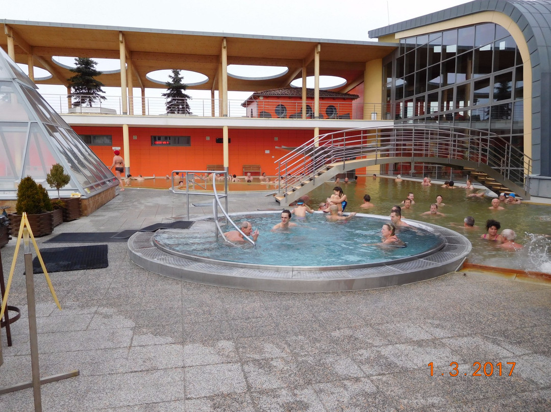 Hotel Borinka