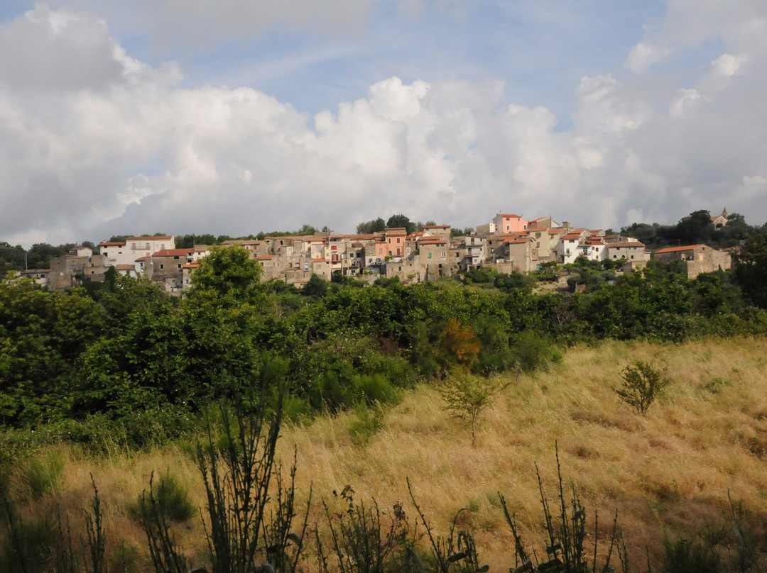 Volpara Azienda Agricola景点图片
