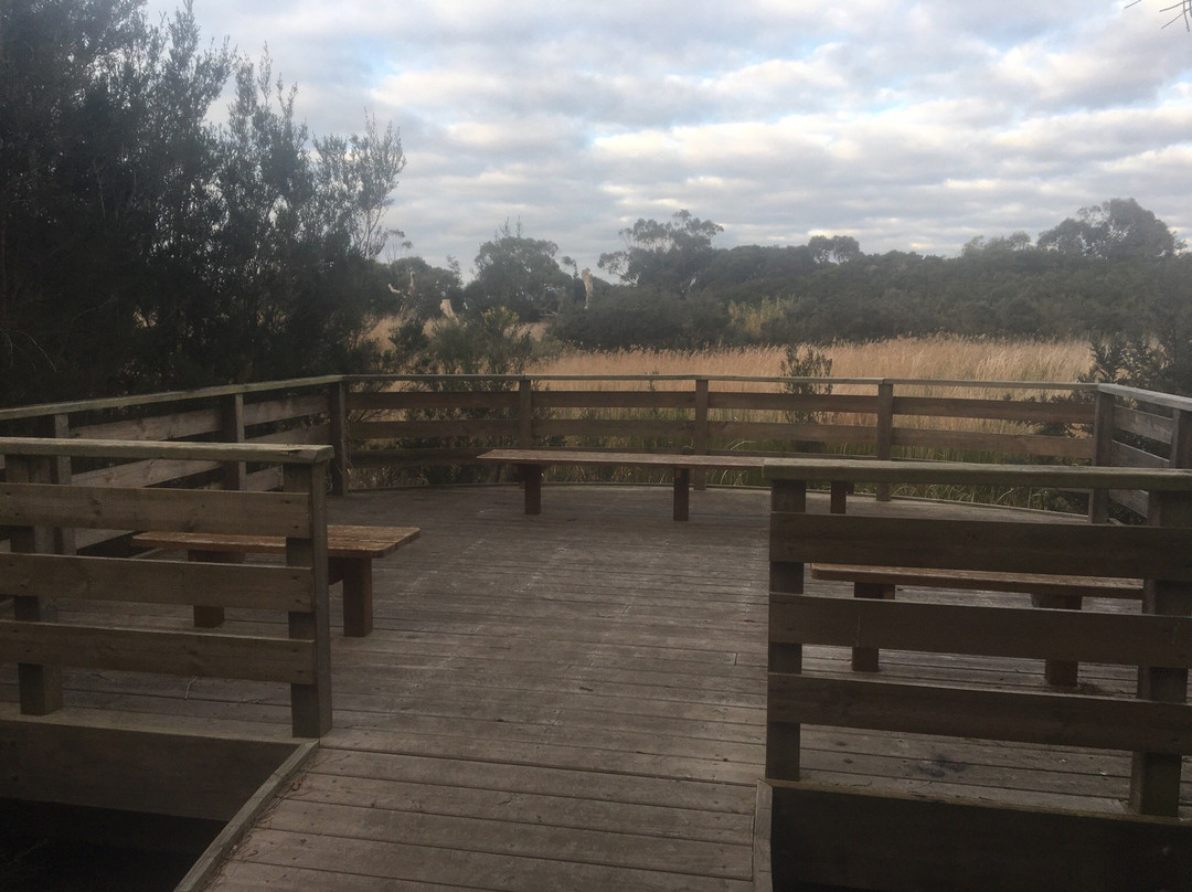 Tootgarook旅游攻略图片