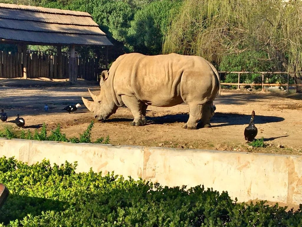 El Encanto Ecoparque景点图片