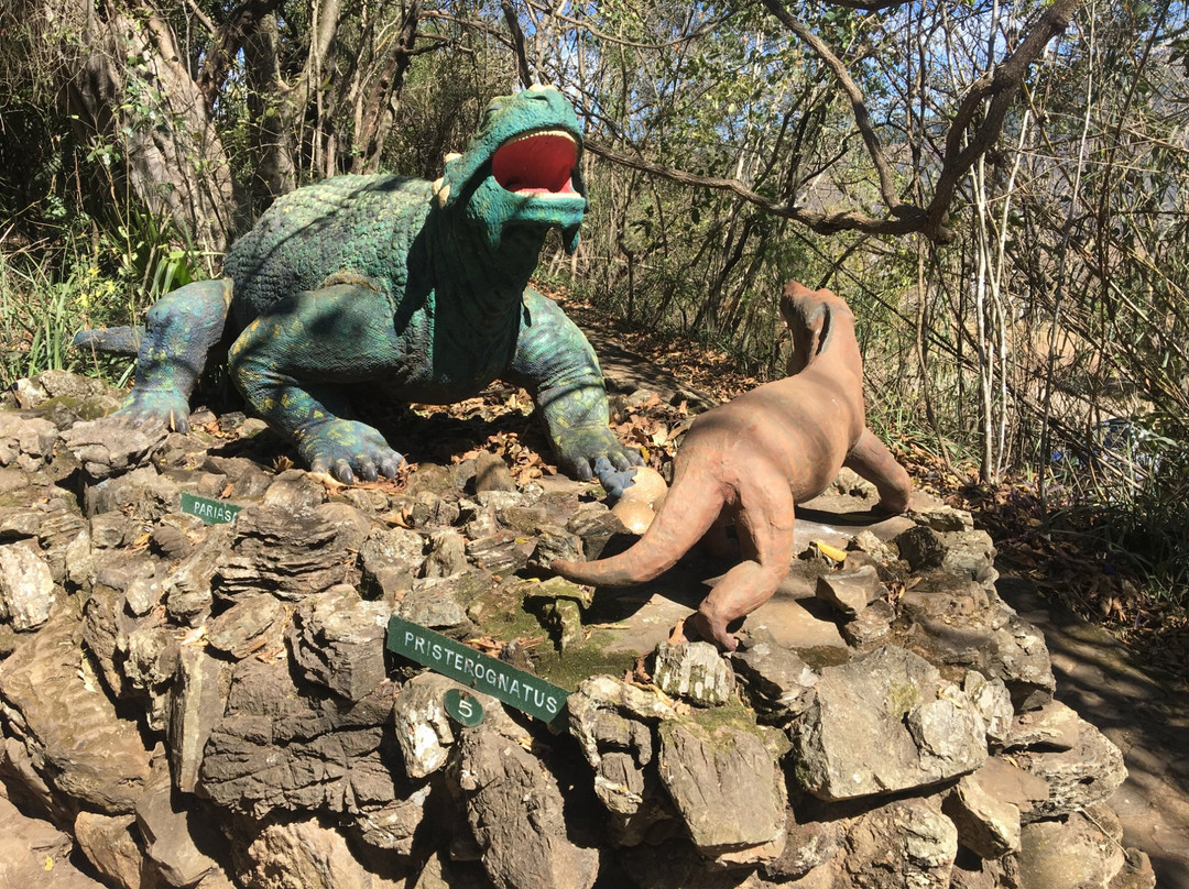 Sudwala Dinosaur Park-尼斯普鲁特必去景点