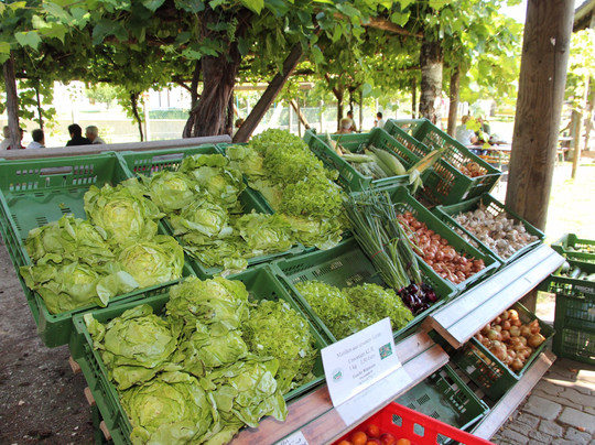 Bauernmarkt Simonsfeld Container-Shop-Ernstbrunn必去景点