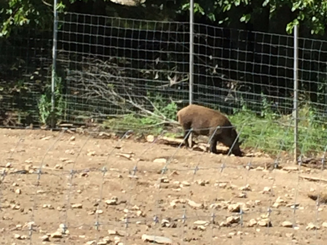 Vignoble de la Bauge  -Brigham必去景点