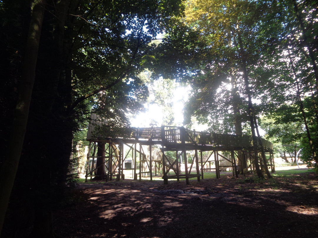 Weston Park景点图片