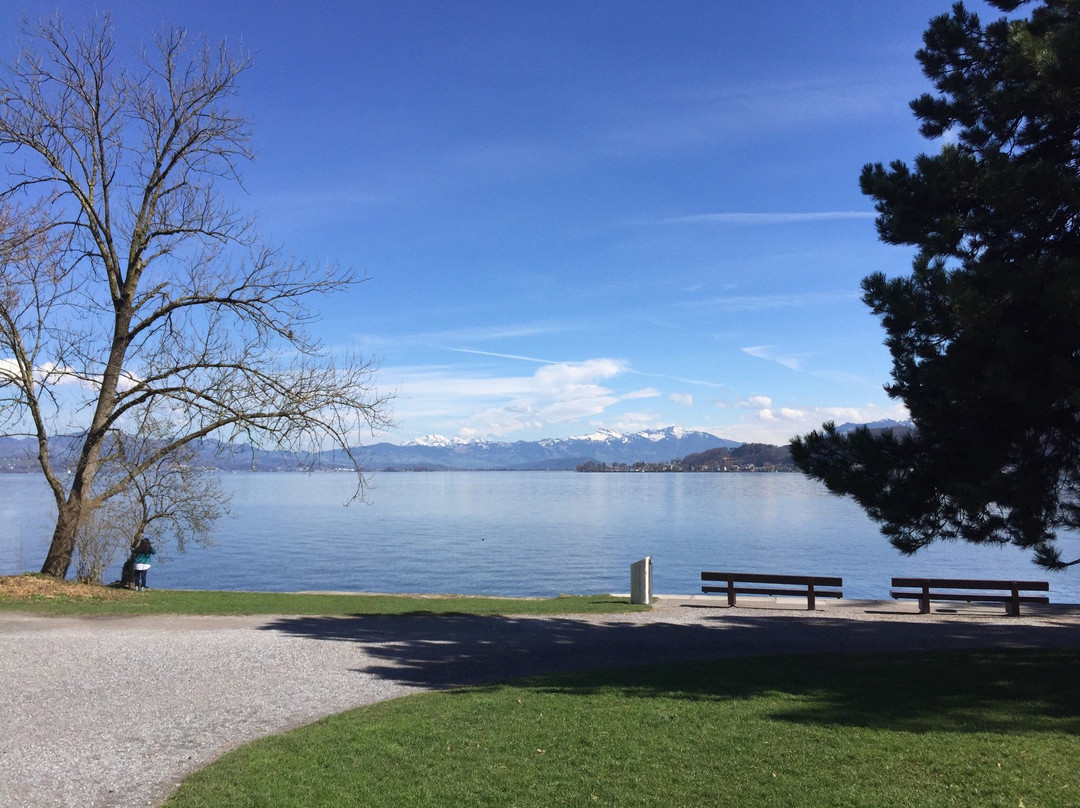 Horn Richterswil-Richterswil必去景点