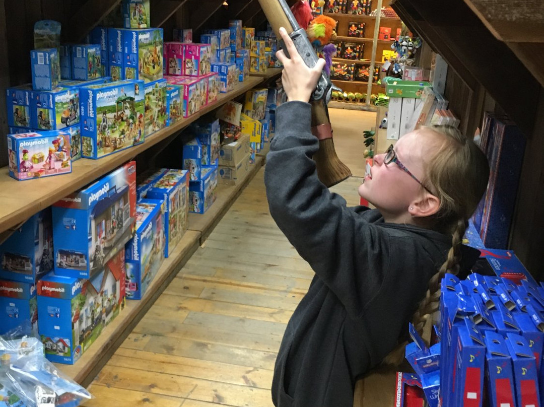 The Jackson Hole Toy Store-杰克逊必去景点