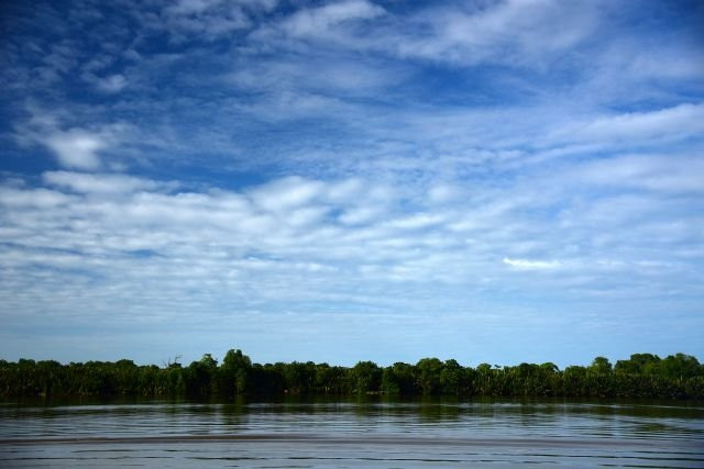 Damuan Park (Taman Persiaran Damuan)景点图片
