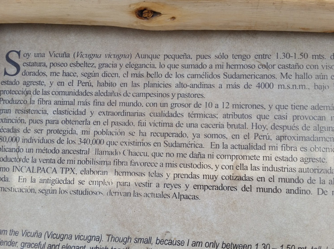 Incalpaca-阿雷基帕必去景点