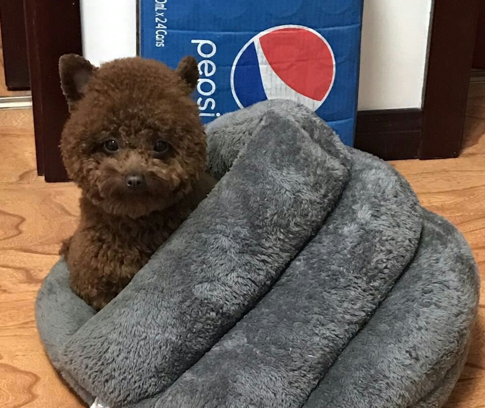 寿光蔬菜示范园-寿光市必去景点