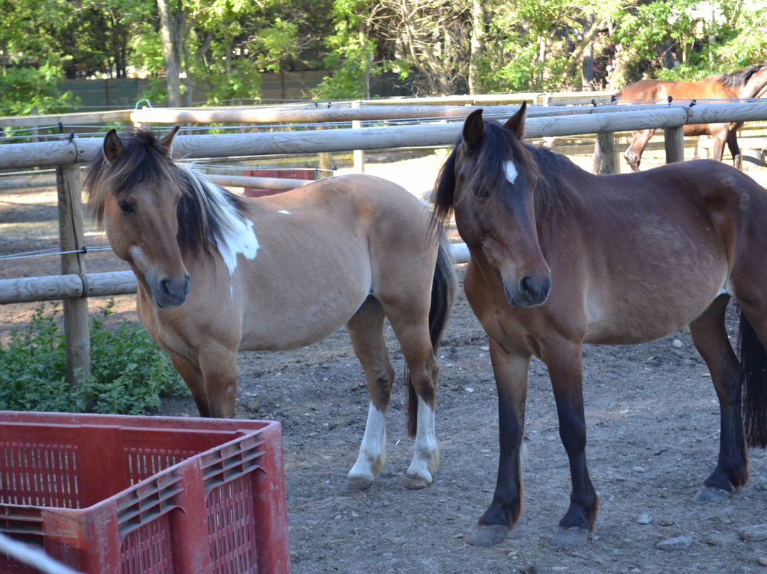Centre équestre des Pyramides-拉格朗德默特必去景点