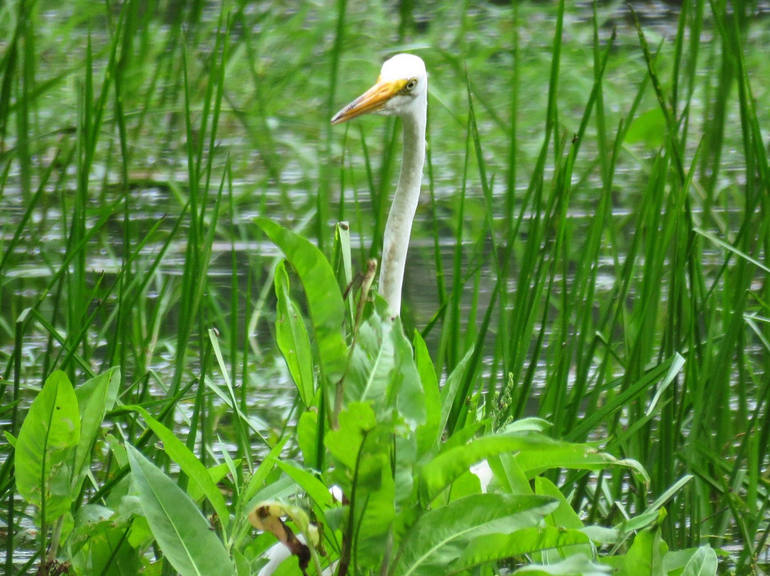 Norris Reservation-Norwell必去景点