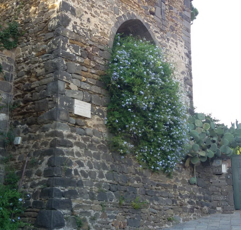 Vieux village de Cogolin-Cogolin必去景点