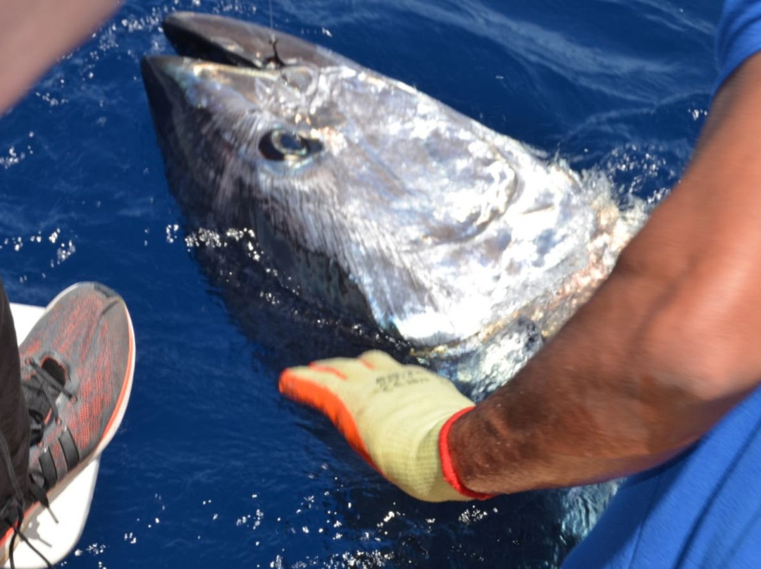 Fishing in Mallorca-El Toro必去景点