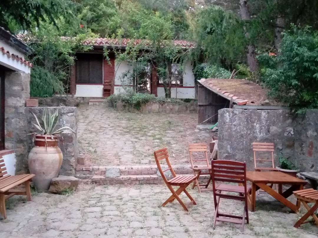 Agriturismo Bosco Pianetti