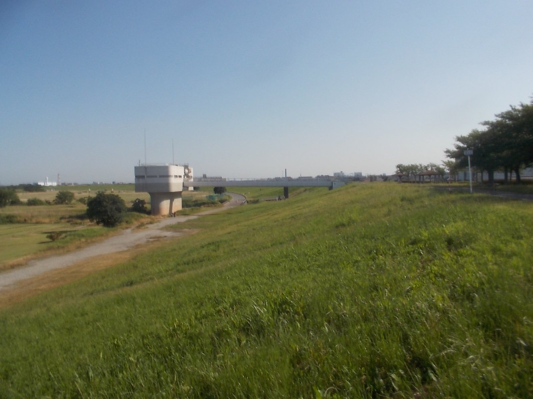 Edo River Bank-松户市必去景点