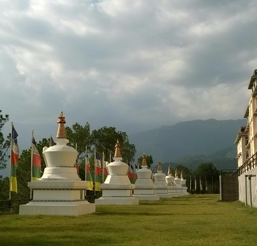 Deer Park Institute景点图片