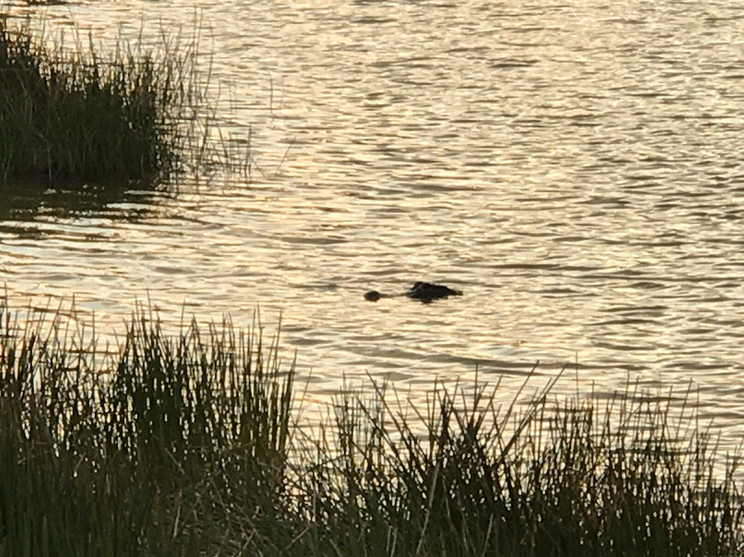 Tom Bennett Park-布雷登顿必去景点