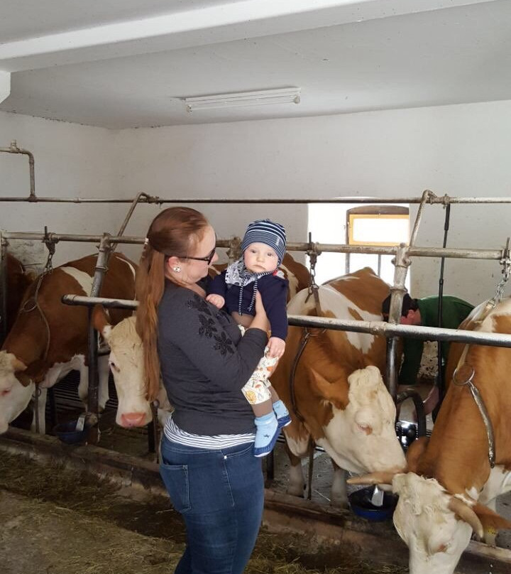 Gutsgasthof Frath主图