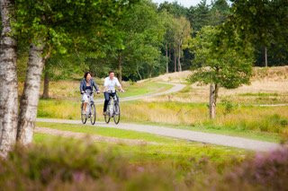 Dutch Pedelec Tours-Wijk aan Zee必去景点