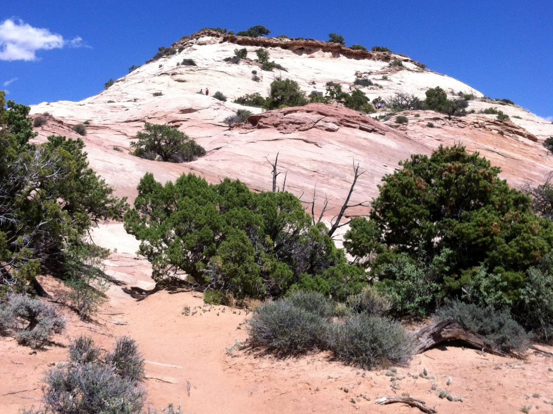 Aztec Butte Trail-峡谷地国家公园必去景点