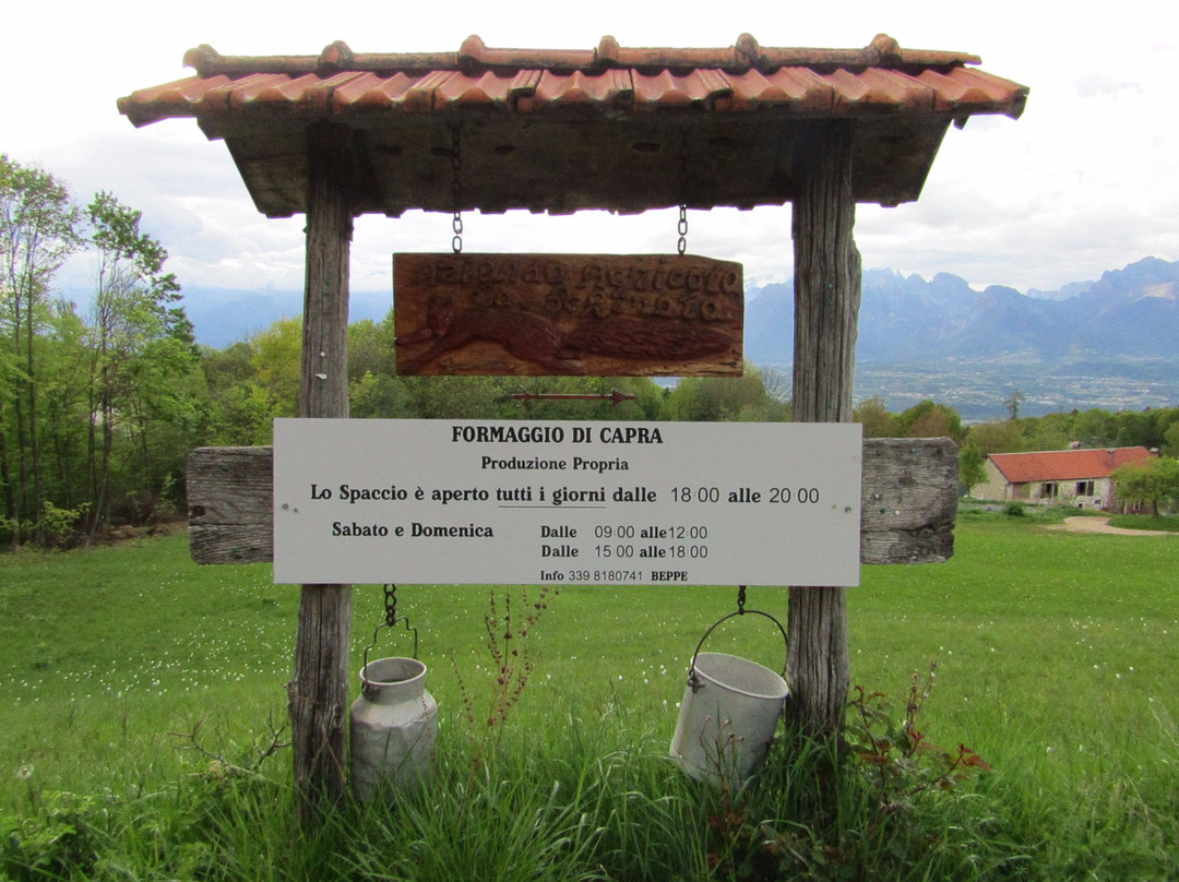 Azienda Agricola La Schirata景点图片