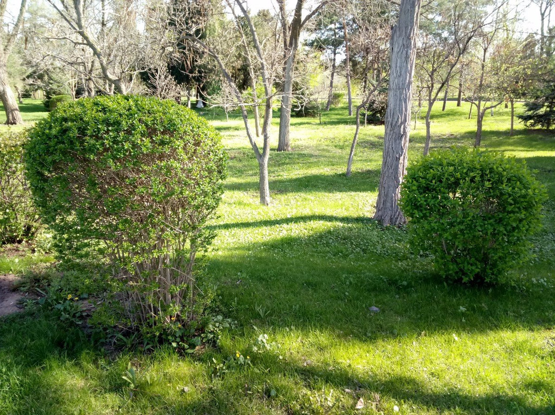 Military Memorial Cemetery景点图片