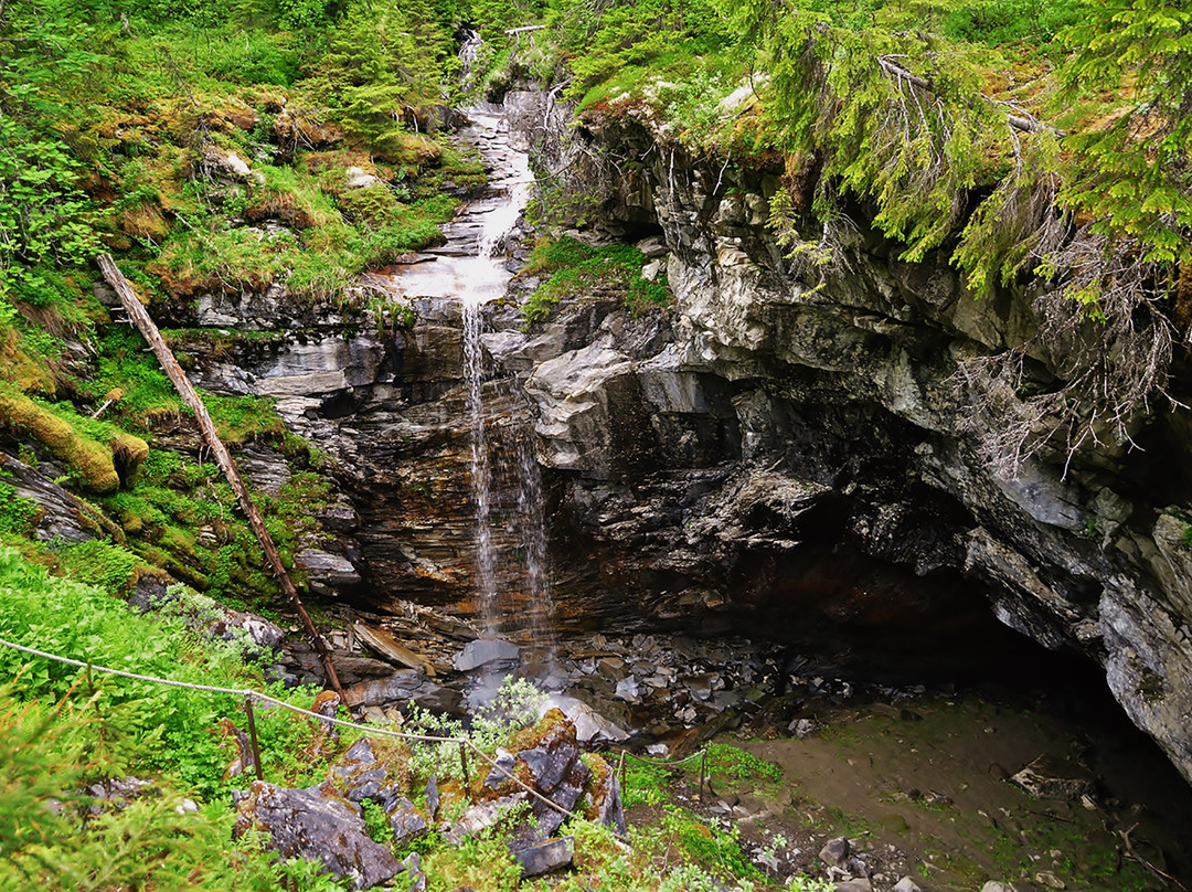 Vilseledaren - Guided tours in Frostviken-Stora Blåsjön必去景点