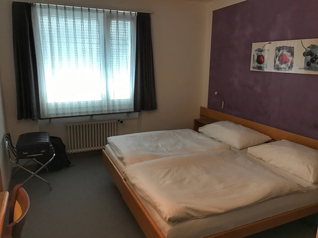Hotel Schlussel Binningen主图