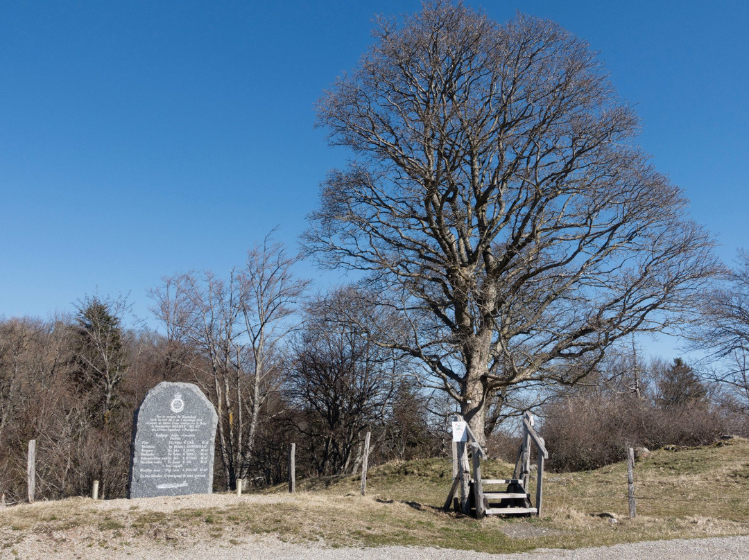 Saint Amarin旅游景点-Halifax MZ-807 Memorial