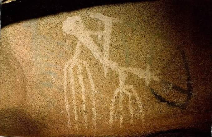 Zona Arqueologico de Vallecitos-Tecate必去景点