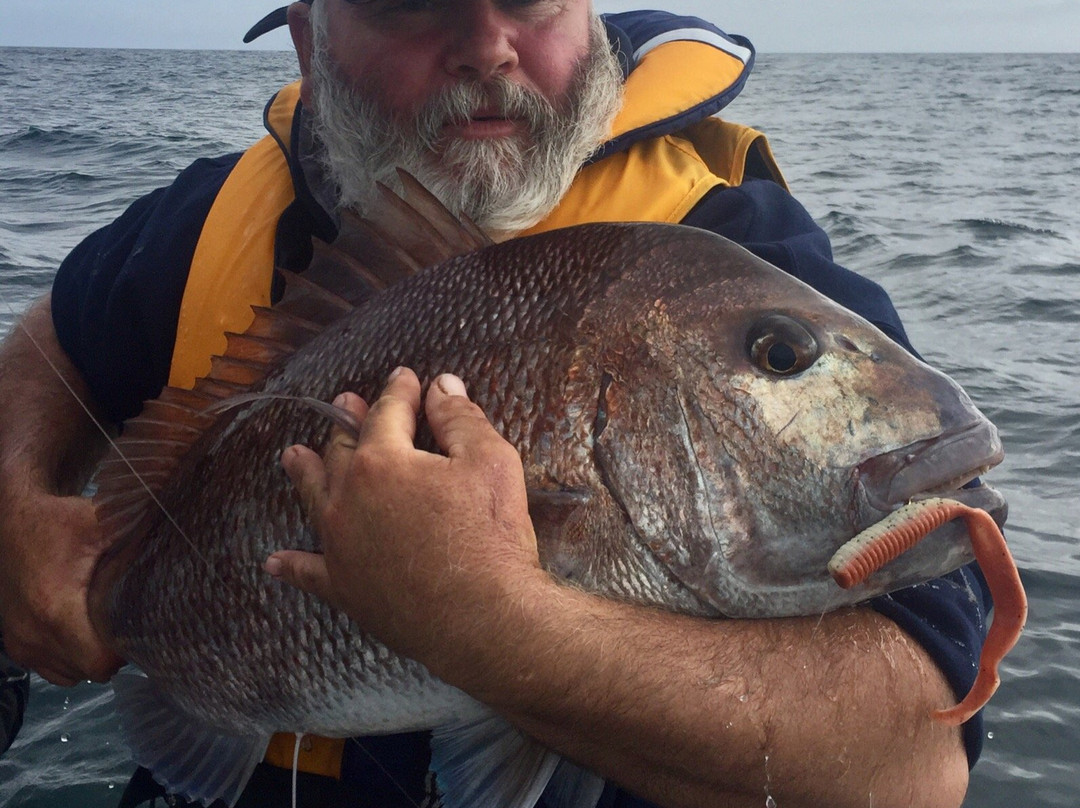 Houhora fishing charters-Houhora必去景点