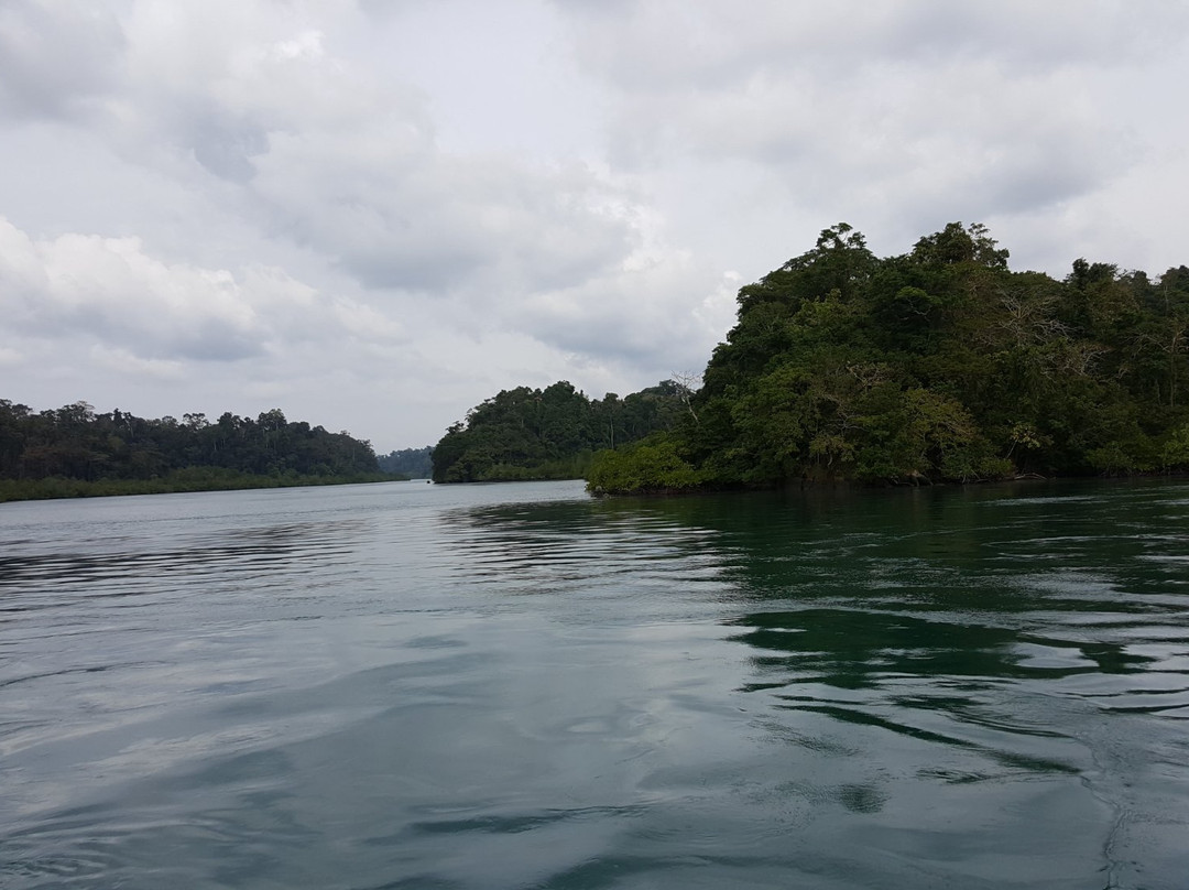 Mahatma Gandhi Marine National Park景点图片