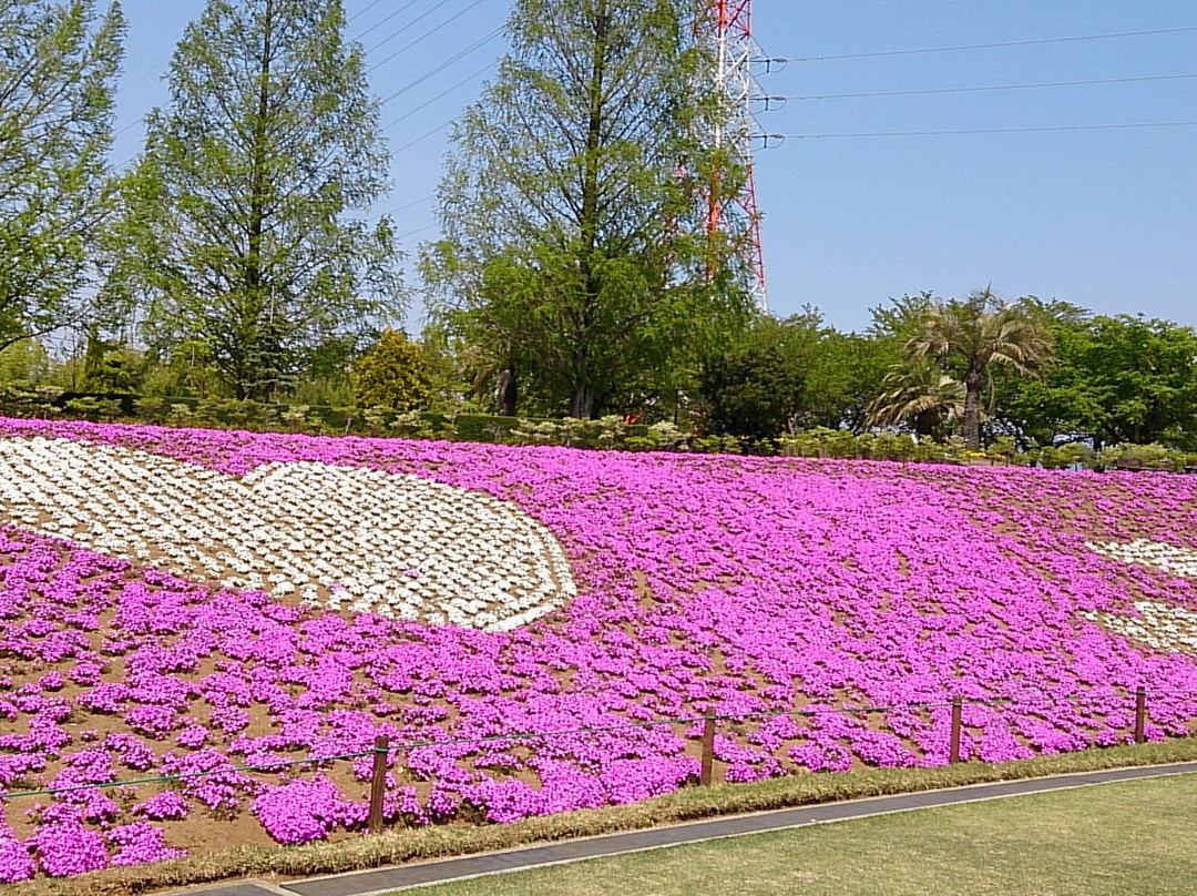 Dragon Park (Akasakadai Sogo Park)景点图片