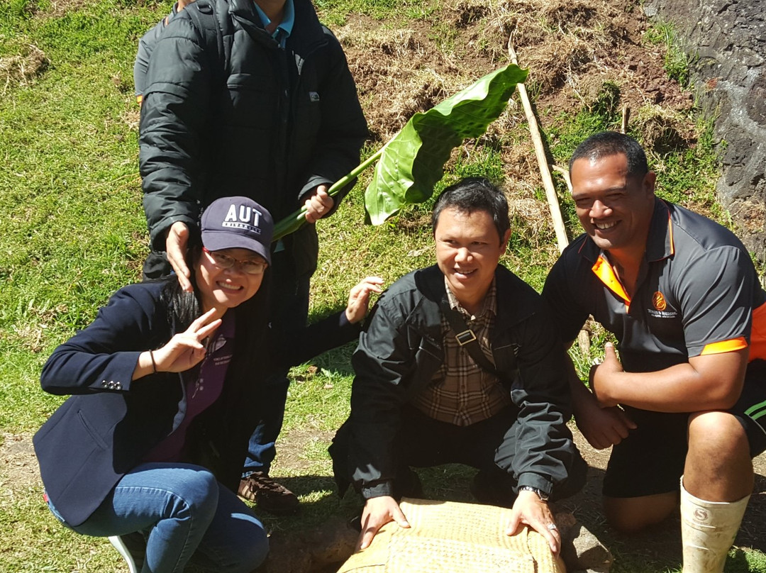 Mangere Mountain Education Centre (MMEC)景点图片