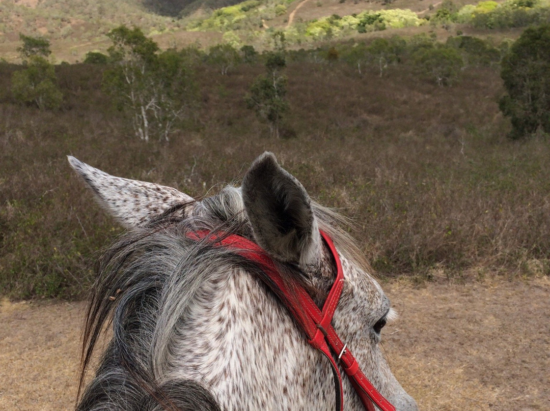 Pocquereux Randonnées-La Foa必去景点