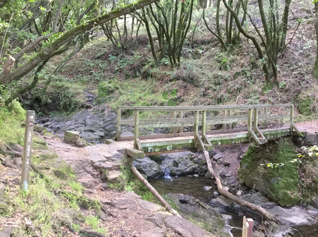 Lake Anza-伯克利必去景点