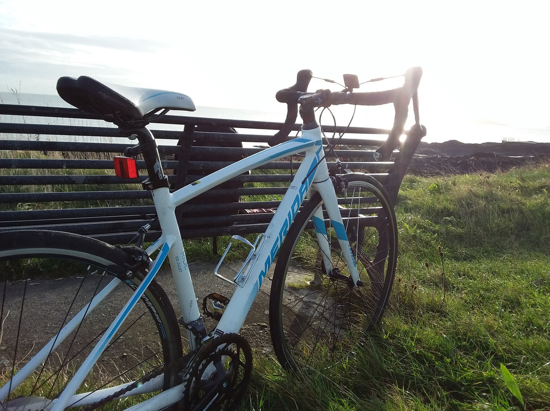 Irish Centre for Cycling-马拉海德必去景点