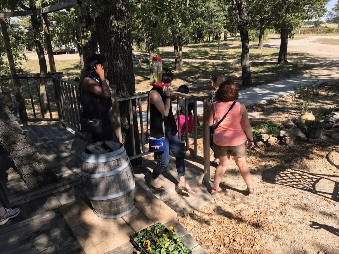 Brushy Creek Vineyard-Alvord必去景点