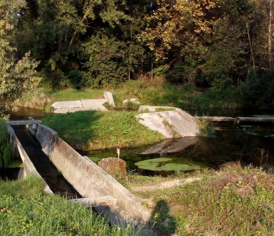 Parco Palude di Onara景点图片