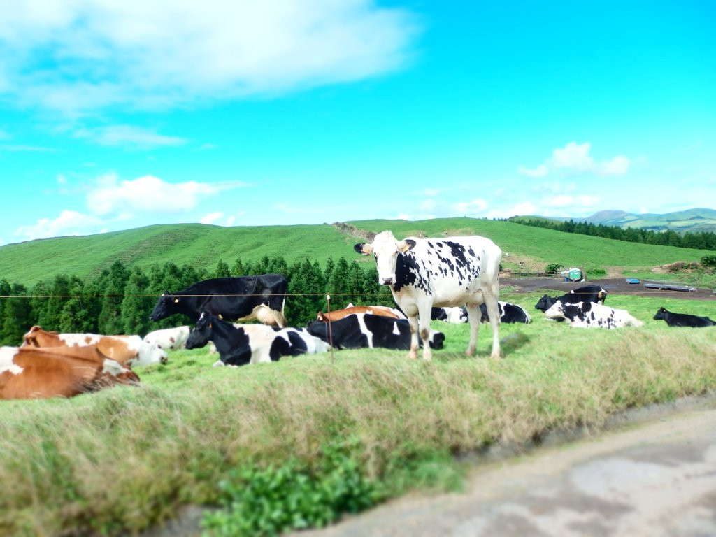 Andre Philip Outdoors Events-蓬塔德尔加达必去景点