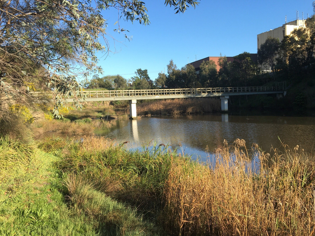 McConchie Reserve-里士满必去景点