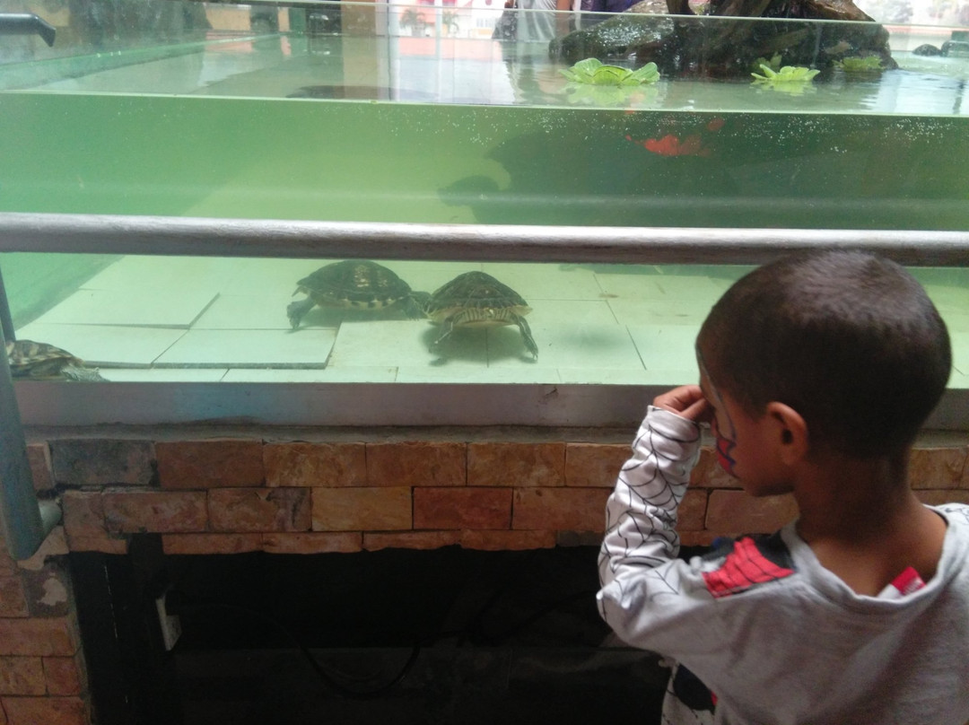 Merida Aquarium (Jardin Acuario de Merida)-梅里达市必去景点